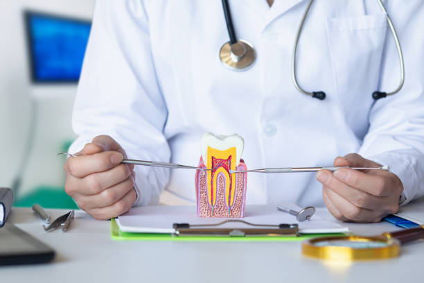 Best Emergency Dental Extractions in Hughesville, PA